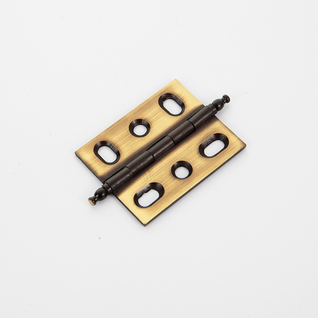 Titolare della porta